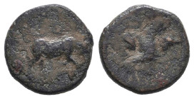 Greek Coins. 4th - 3rd century B.C. AE
Reference:

Condition: Very Fine

Weight: 1.6g Diameter: 12.4mm