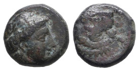 Greek Coins. 4th - 3rd century B.C. AE
Reference:

Condition: Very Fine

Weight: 1.8g Diameter: 11mm