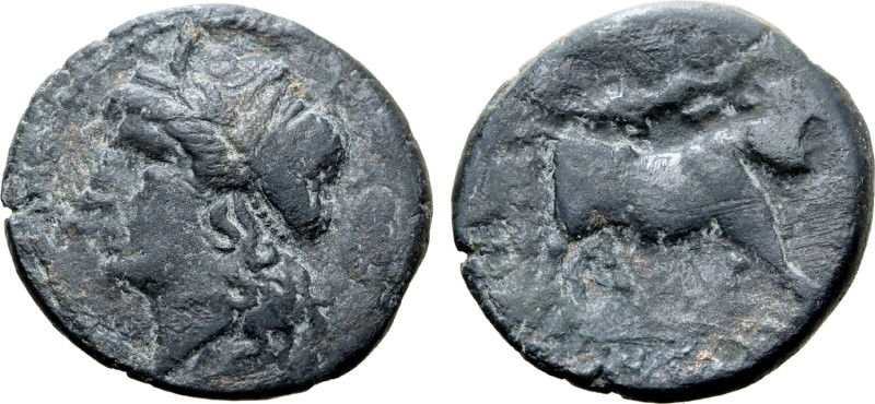 Northern Campania, Cales, c. 265-240 BC. Æ (19mm, 5.75g, 7h). Laureate head of A...