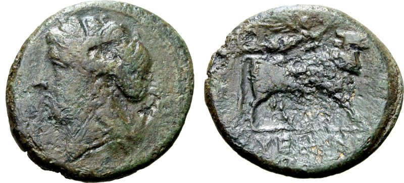 Northern Campania, Suessa Aurunca, c. 265-240 BC. Æ (21mm, 5.81g, 8h). Laureate ...