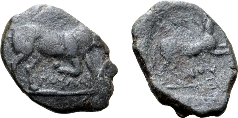 Northern Apulia, Arpi, c. 275-250 BC. Æ (24mm, 6.92g, 3h). Bull butting r.; ΠΟΥΛ...