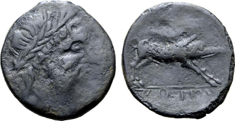 Northern Apulia, Salapia, c. 225-210 BC. Æ (20mm, 6.09g, 8h). Laureate head of Z...