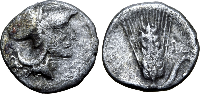 Southern Lucania, Metapontion, c. 325-275 BC. AR Diobol (11mm, 0.99g, 7h). Head ...