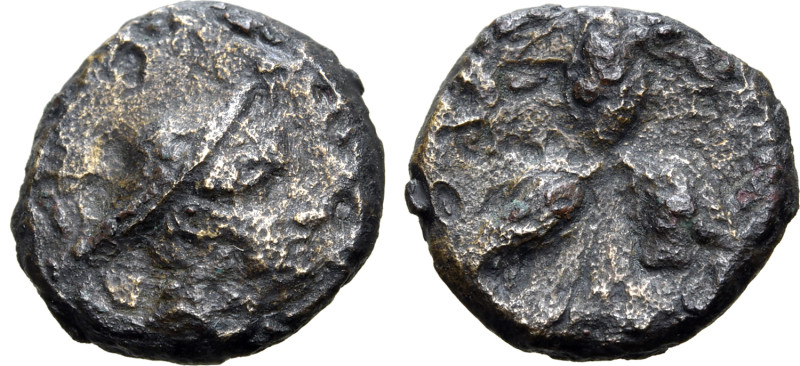 Southern Lucania, Metapontion, c. 300-250 BC. Æ (13mm, 1.98g, 1h). Head of Herme...