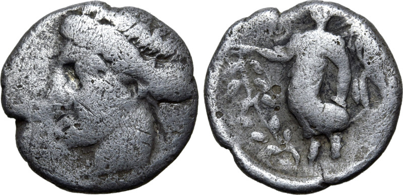 Bruttium, Terina, c. 400-356 BC. AR Diobol (9mm, 0.67g, 4h). Female head l., wea...