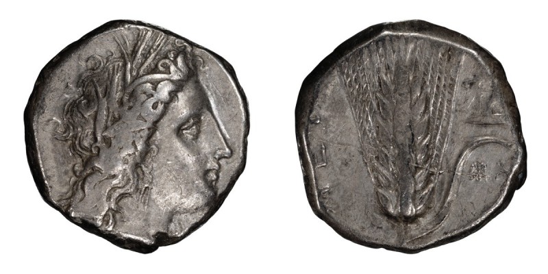 Lucania, Metapontum. AR Nomos; Lucania, Metapontum; c. 330-290 BC, Nomos, 7.88g....