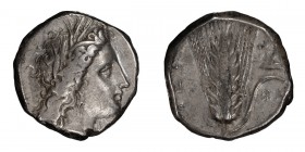 Lucania, Metapontum. AR Nomos; Lucania, Metapontum; c. 330-290 BC, Nomos, 7.88g. Johnston, Metapontum-Class C, 1.57, HN Italy-1581. Obv: Wreathed head...