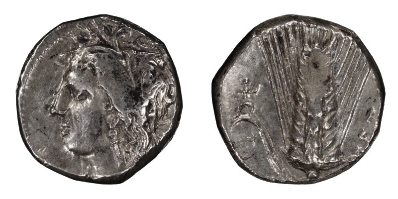 Lucania, Metapontum. AR Nomos; Lucania, Metapontum; c. 330-290 BC, Nomos, 7.90g....