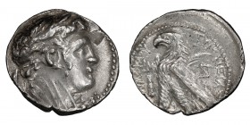 Phoenicia, Tyre. Half shekel; Phoenicia, Tyre; Year 40=87/86 BC, Half Shekel, 6.97g. BM-225. Obv: Laureate bust of Melqart r. Rx: TYPoY IEPAS - [KAI] ...