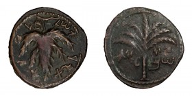 Judaea, Bar Kokhba Revolt. Middle bronze; Judaea, Bar Kokhba Revolt; Undated, attributed to Year 2=134/5 CE, Middle Bronze, 10.82g. Hendin-1437, Milde...
