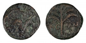 Judaea, Bar Kokhba Revolt. Small bronze; Judaea, Bar Kokhba Revolt; Undated, attributed to Year 2=134/5 CE, Small Bronze, 5.85g. Hendin-1440, Mildenbe...