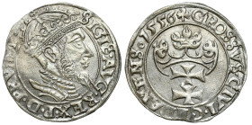 Sigismund II August
POLSKA/ POLAND/ POLEN / POLOGNE / POLSKO

Zygmunt II August. Groschen (Grosz) 1556, Gdansk / Danzig - RARE 

Aw.: Głowa króla...