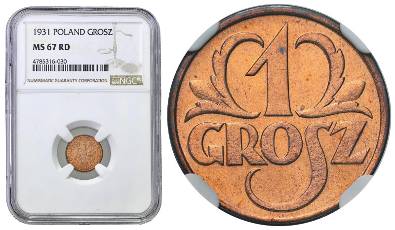 Poland - Unique collection of penny coins
POLSKA / POLAND / POLEN / POLOGNE / P...