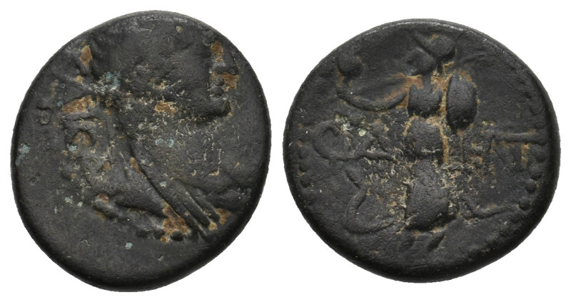 PROVINCIAL COIN. 3.94g 17.3m