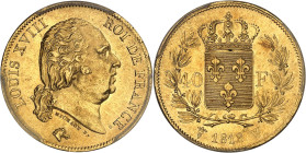 FRANCE
Louis XVIII (1814-1824). 40 francs 1818, W, Lille.
Av. LOUIS XVIII ROI DE FRANCE. Tête nue de Louis XVIII à droite, au-dessous signature MICHAU...