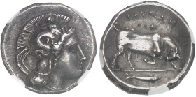 GRÈCE ANTIQUE - GREEK
Lucanie, Thurium. Statère ou nomos ND (400-350 av. J.-C.), Thurium (Thourioi).
Av. Tête d'Athéna à droite, coiffée du casque à c...