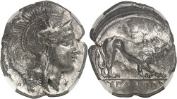 GRÈCE ANTIQUE - GREEK
Lucanie, Velia. Didrachme ND (340-334 av. J.-C.), Velia.
Av. Tête d’Athéna à droite, avec le casque attique à cimier, orné d’un ...