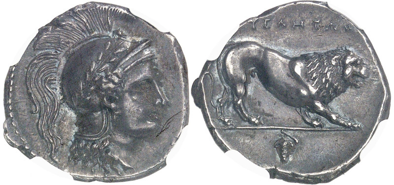 GRÈCE ANTIQUE - GREEK
Lucanie, Velia. Didrachme ND (300-280 av. J.-C.), Velia.
A...