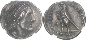 GRÈCE ANTIQUE - GREEK
Royaume lagide, Ptolémée Ier (305-285 av J-C). Statère d’argent de 25 oboles (tétradrachme) ND (294-285 av. J.-C.), Alexandrie.
...