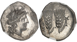 GRÈCE ANTIQUE - GREEK
Zeugitane, Carthage. Quart de shekel, occupation de Métaponte ND (215-207 av. J.-C.), Métaponte.
Av. Tête de Déméter à droite, l...
