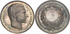 ESPAGNE - SPAIN
Alphonse XII (1874-1885). Médaille d’Argent, Exposition des Beaux-Arts de 1881 à Madrid, par J. Esteban Lozano 1881, Madrid (Feu et Hi...