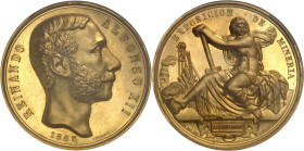 ESPAGNE - SPAIN
Alphonse XII (1874-1885). Médaille, première Exposition minière, par G. Sellan 1883, Madrid.
Av. ALFONSO XII REINANDO. Tête nue à droi...