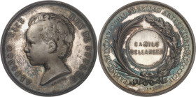 ESPAGNE - SPAIN
Alphonse XIII (1886-1931). Médaille d’Argent, Exposition des Beaux-Arts de 1892 à Madrid attribuée à Camille-Félix Bellanger, par B. M...