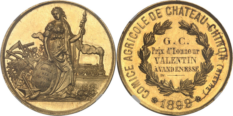 FRANCE
IIIe République (1870-1940). Médaille d’Or, Prix d’Honneur du Comice agri...