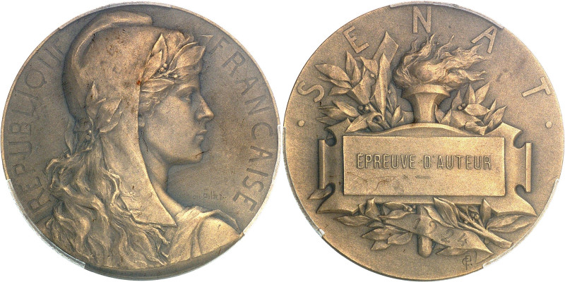FRANCE
IIIe République (1870-1940). Médaille d’identité du Sénat, épreuve d’aute...