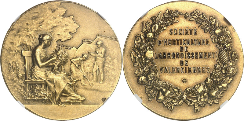 FRANCE
IIIe République (1870-1940). Médaille d’Or, Société d’horticulture de l’a...