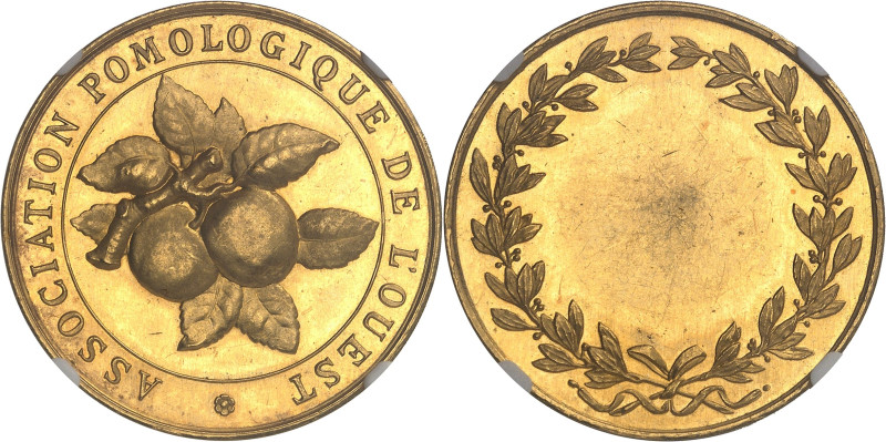 FRANCE
IIIe République (1870-1940). Médaille d’Or, Association pomologique de l’...