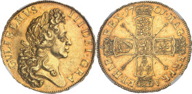 GRANDE-BRETAGNE - UNITED KINGDOM
Guillaume III (1694-1702). 5 guinées, 2e buste 1701, Londres.
Av. GVLIELMVS. III. DEI. GRA. Buste lauré à droite. 
Rv...
