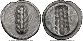 LUCANIA. Metapontum. Ca. 510-470 BC. AR stater (25mm, 12h). NGC Choice VF, edge marks. META, grain ear; guilloche border on raised rim / Incuse grain ...
