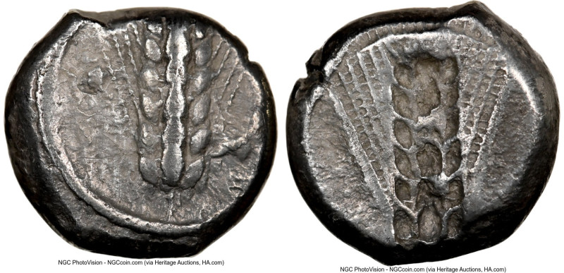 LUCANIA. Metapontum. Ca. 470-440 BC. AR stater (17mm, 1h). NGC Choice VF, edge m...