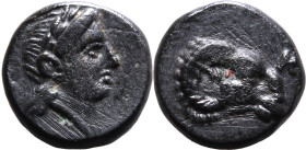 Ancient Greece: Troas, Kebren circa 400-310 BC Bronze AE9 About Extremely Fine