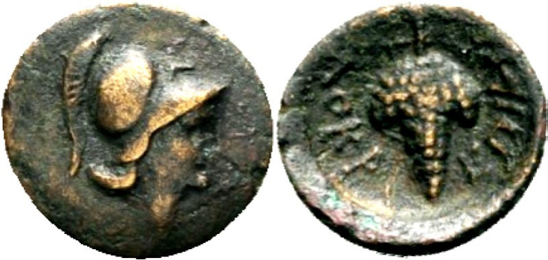 LOKRIS. 
LOKROI OPUNTIOI. AE-Dichalkon 14/15mm (338/300 v.Chr.) 1,56g. Athenako...