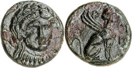 TROAS. 
STÄDTE. 
GERGIS. AE-Tetrachalkon 16/17mm (386/241 v.Chr.) 4,02g. Büste der Sibylle Herophile frontal / GER n. r. sitzende Sphinx. BMC&nbsp; ...