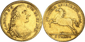 Braunschweig/-Wolfenbüttel. 
Karl I. 1735-1780. 5&nbsp;Taler 1746 Geharn. Brb. n.r. / Roß n.l. W.&nbsp; 2694, F. 714. . 


GOLD ss- vz