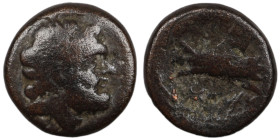 Phoenicia. Arados. (137-51 BC) Æ Bronze. (14mm, 2,99g) Obv: laureate head of Zeus right. Rev: galley-ram left.