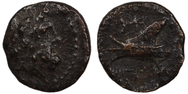 Phoenicia. Arados. (137-51 BC) Æ Bronze. (15mm, 2,53g) Obv: laureate head of Zeu...