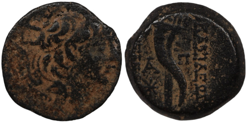 Alexander II. Zabinas. (128-122 BC). Bronze Æ. (20mm, 6,92g) Antioch.