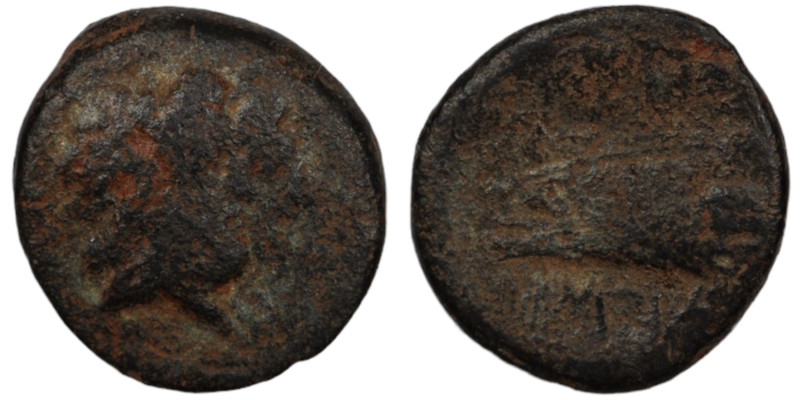 Phoenicia. Arados. (137-51 BC) Æ Bronze. (15mm, 2,87g) Obv: laureate head of Zeu...