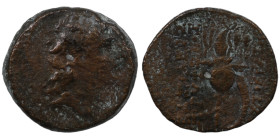 Tryphon. (142-138 BC). Bronze Æ. (17mm, 4,91g) Antioch.