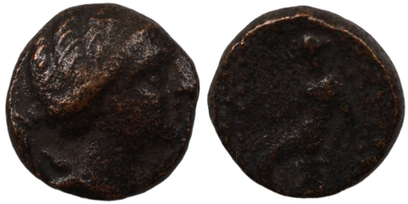 Seleukos III. Keraunos. (226-223 BC). Bronze Æ. (14mm, 3,42g) Antioch.