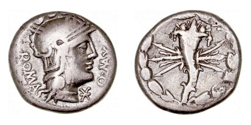 Fabia
Denario. AR. Roma. (127 a.C.). A/Cabeza de Roma a der., delante X y Q.MAX...