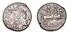 Junia
Denario. AR. Roma. (145 a.C.). A/Cabeza laureada de Roma a der., delante X y detrás cabeza de asno. R/Los Dioscuros a caballo a der., debajo M ...