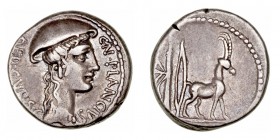 Plancia
Denario. AR. Roma. (55 a.C.). A/Cabeza de Diana Planciana, alrededor CN · PLANCIVS AED · CVR · S·C. R/Cabra a der., detrás carcaj y arco. 4.0...