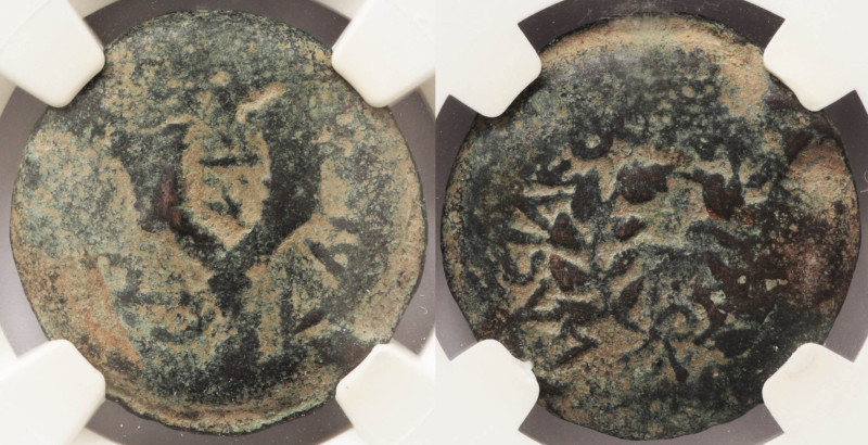 Judaea, Matt. Antigonus, 40-37 BC, AE 8-Prutot, NGC, Fine

Judaea, Hasmonean K...