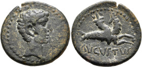 MYSIA. Parium. Augustus, 27 BC-AD 14. Assarion (Bronze, 23 mm, 6.04 g, 12 h). Bare head of Augustus to right. Rev. AVGVSTVS Capricorn to right, head t...