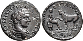 MYSIA. Parium. Severus Alexander, 222-235. Assarion (Bronze, 20 mm, 5.30 g, 7 h). IMP CAES L SEP SEV ALEXANDER Laureate, draped and cuirassed bust of ...